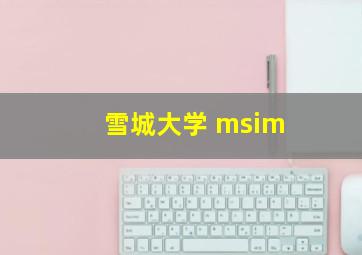 雪城大学 msim